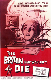 Brain Poster